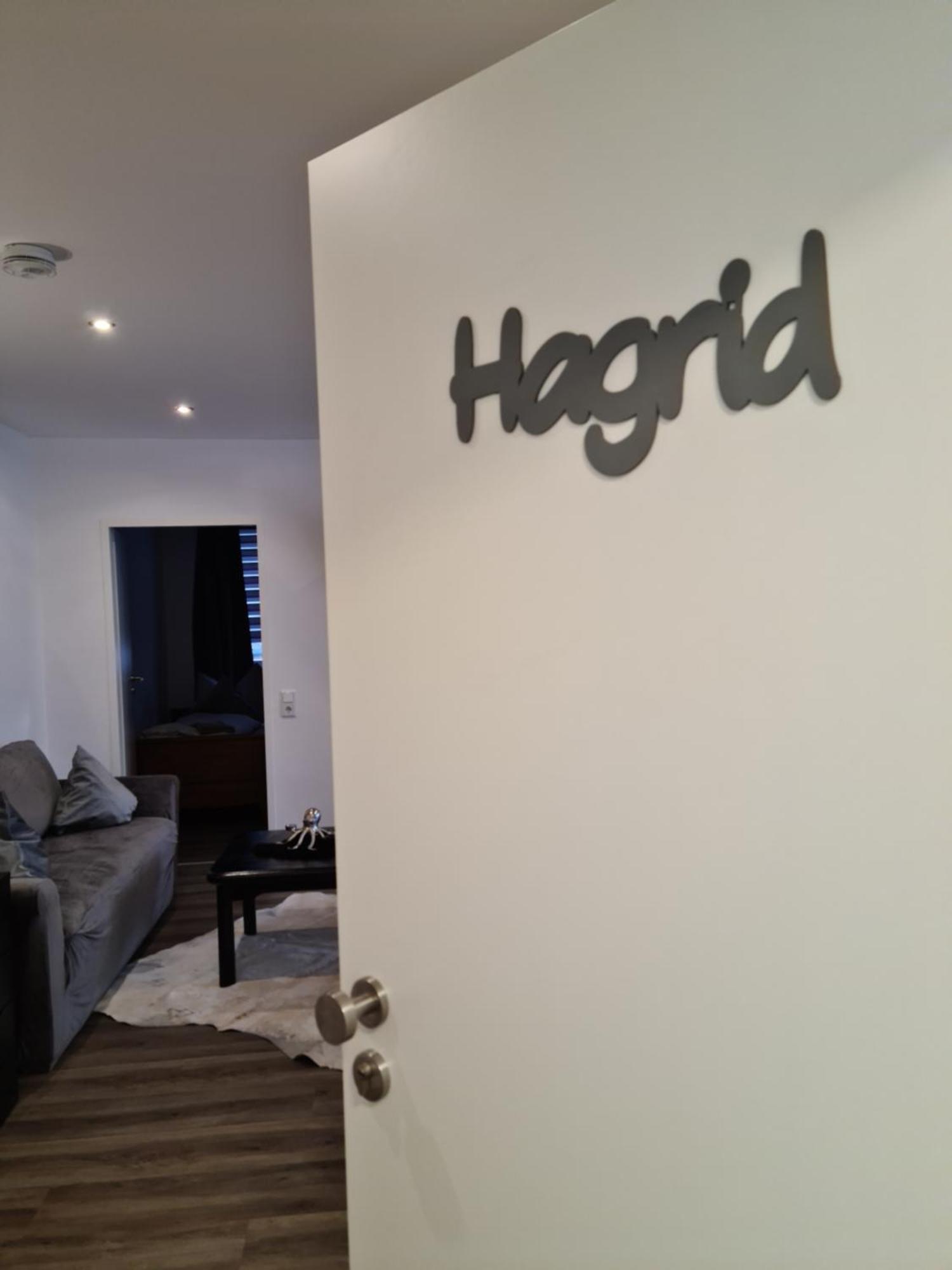 Pilgrims "Hagrid" 2 Sz, Balkon, Kueche, Bad, Top Wifi Брилон Экстерьер фото